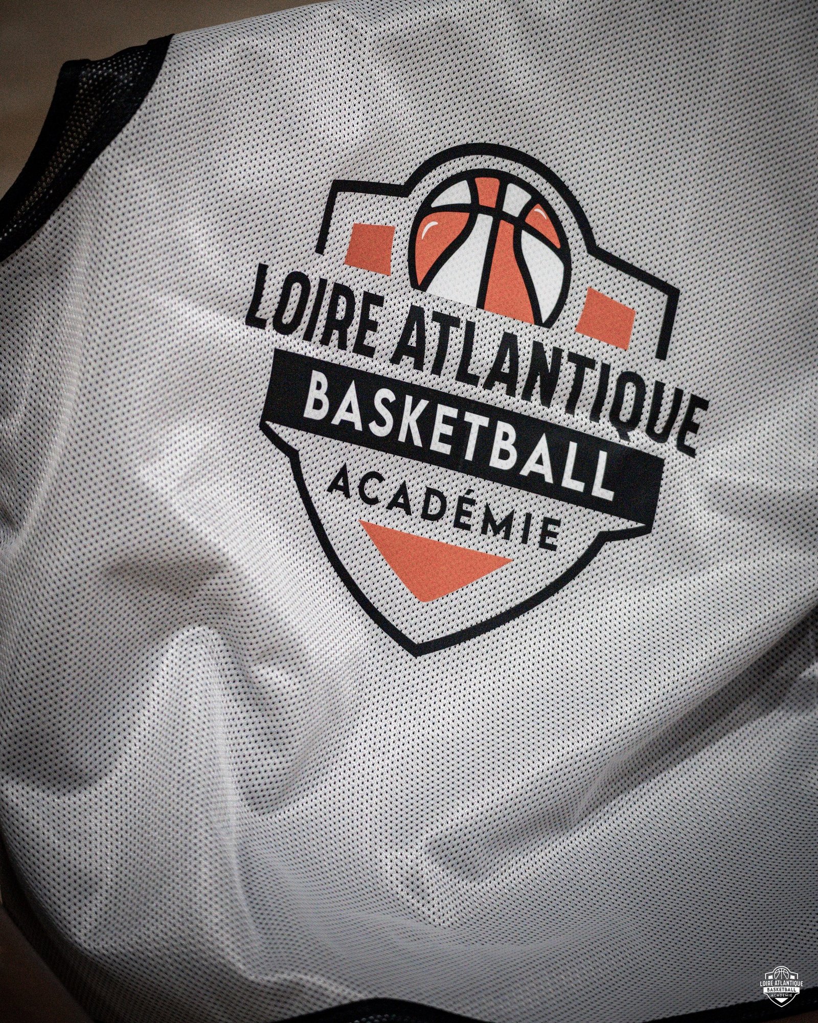 Clinic Entraineurs Jeunes Logo Loire Atlantique Basket Académie